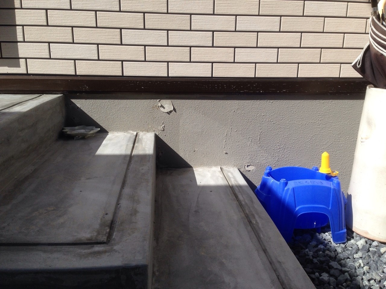 ���� �J�[�|�[�g �G�N�X�e���A �P�H ����