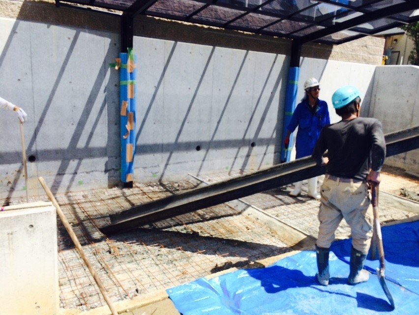 ���� �J�[�|�[�g �G�N�X�e���A �P�H ����