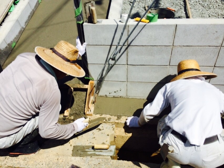 ���� �J�[�|�[�g �G�N�X�e���A �P�H ����