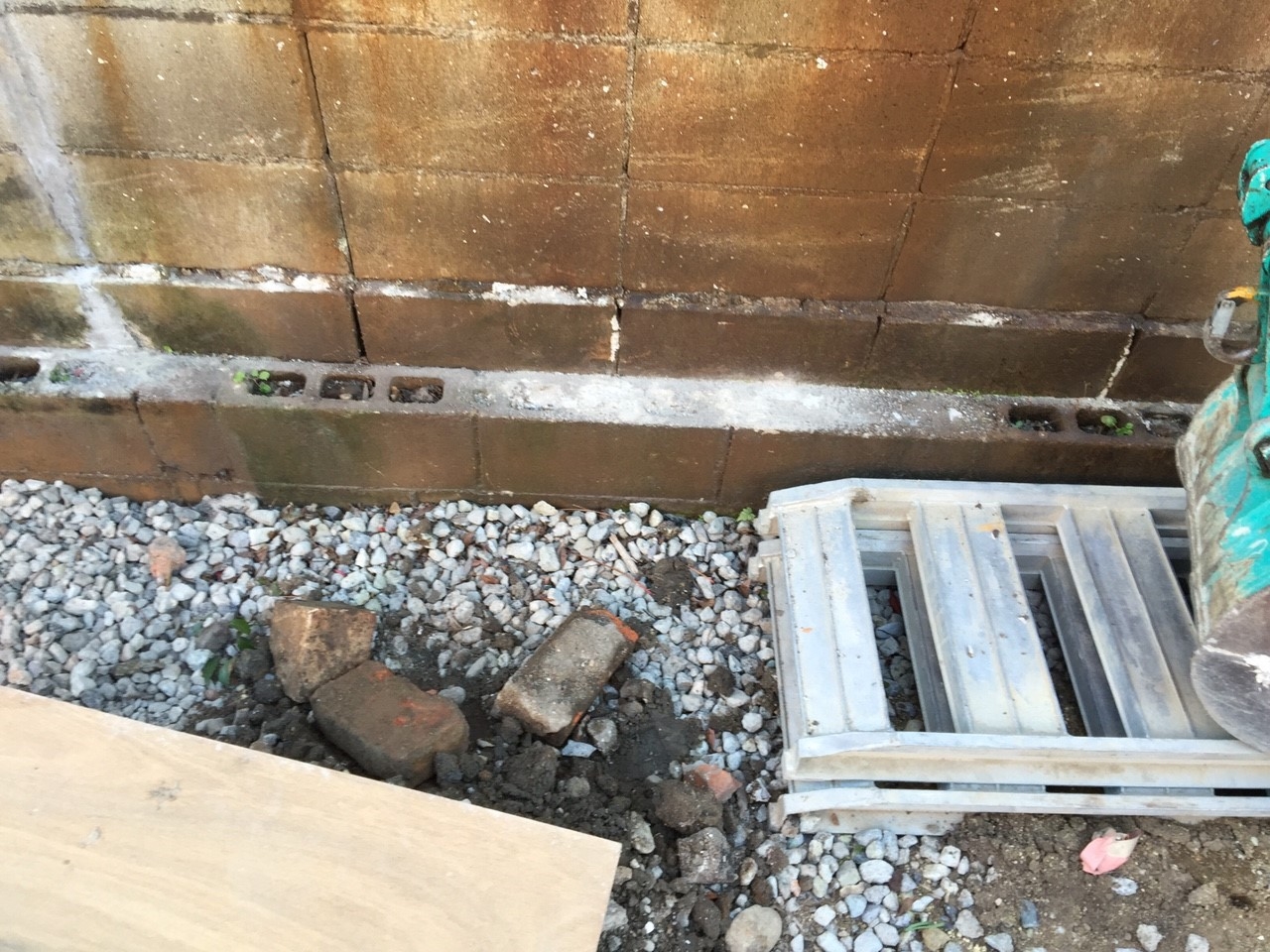 ���� �J�[�|�[�g �G�N�X�e���A �P�H ����