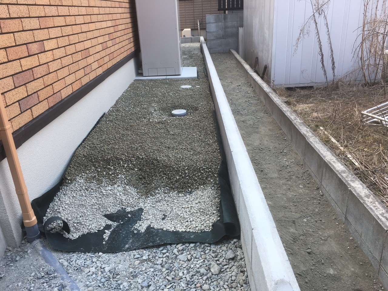 ���� �J�[�|�[�g �G�N�X�e���A �P�H ����