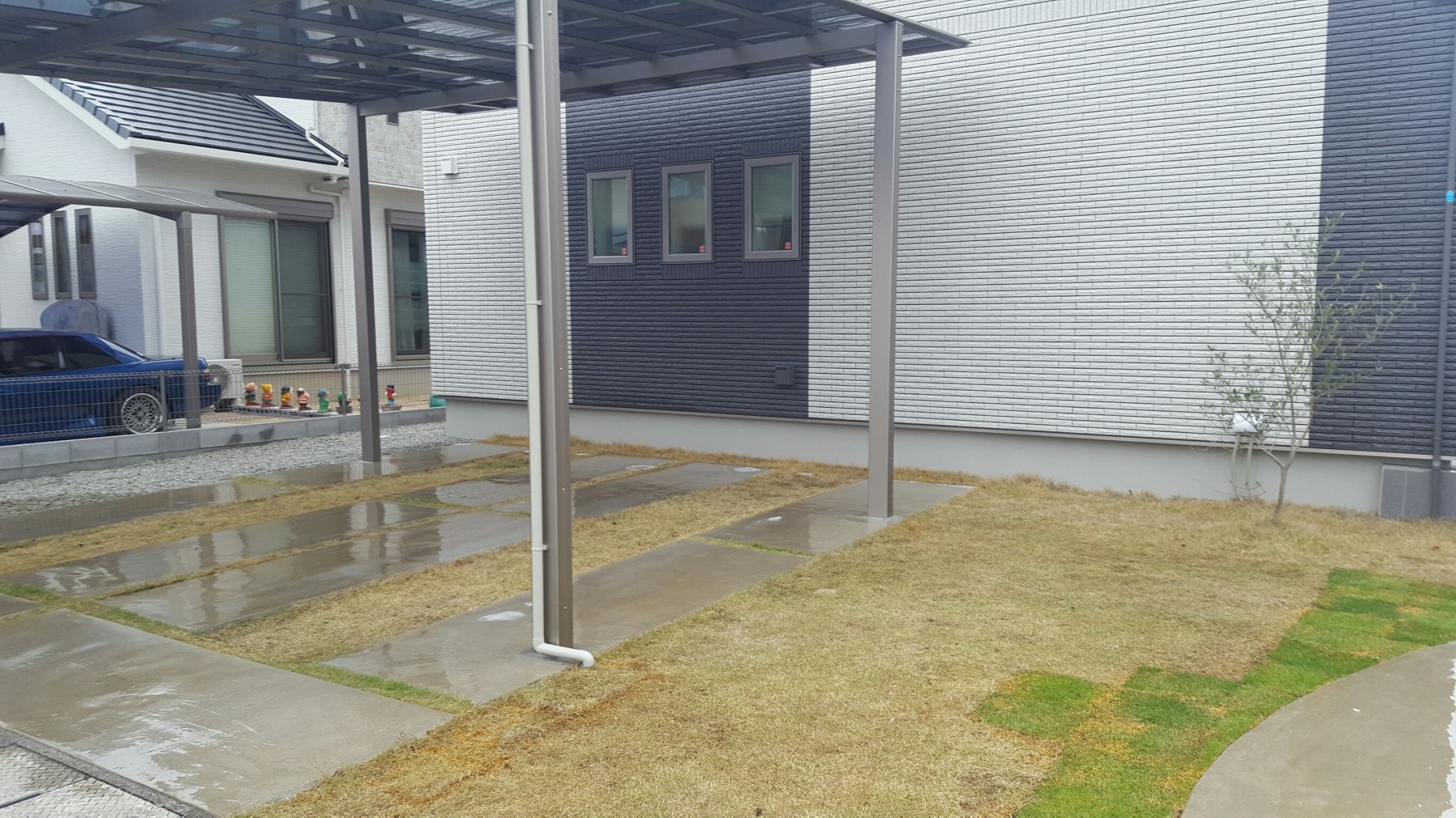 ���� �J�[�|�[�g �G�N�X�e���A �P�H ����