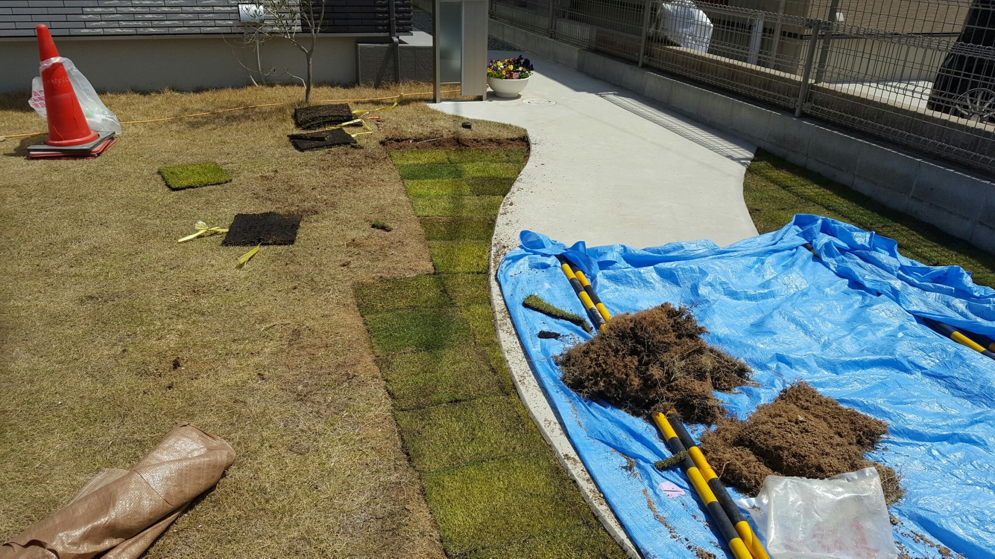 ���� �J�[�|�[�g �G�N�X�e���A �P�H ����