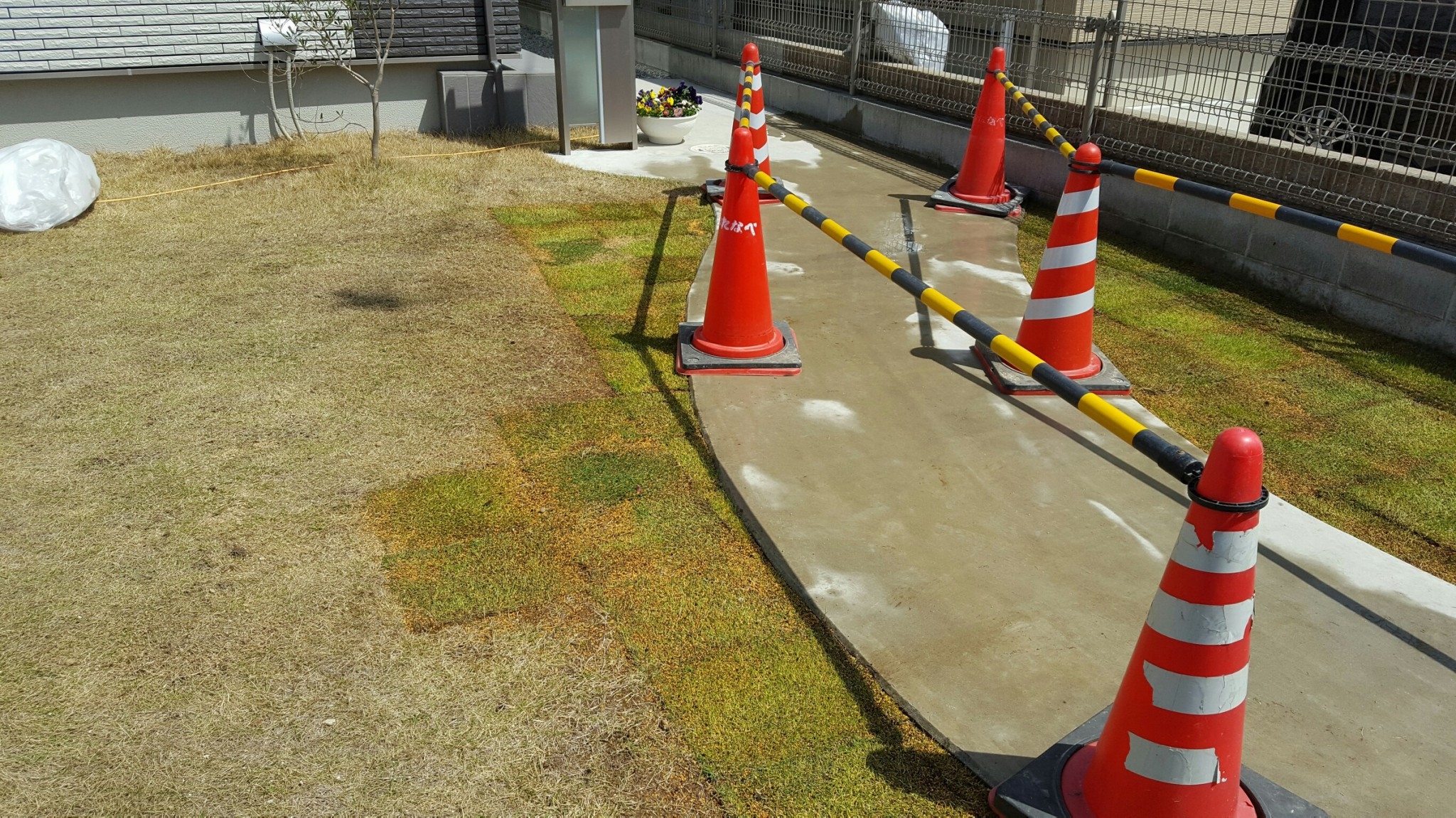 ���� �J�[�|�[�g �G�N�X�e���A �P�H ����