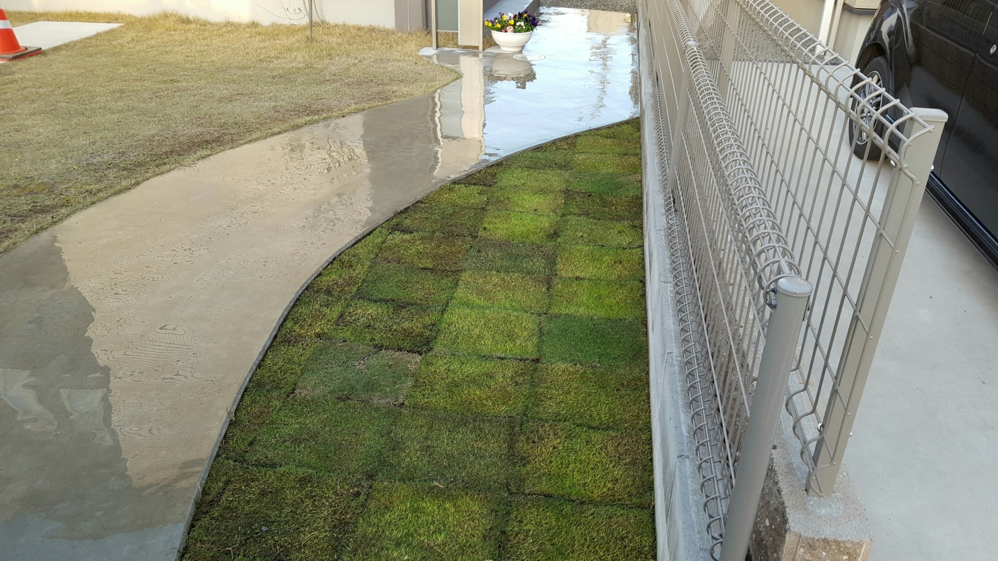 ���� �J�[�|�[�g �G�N�X�e���A �P�H ����