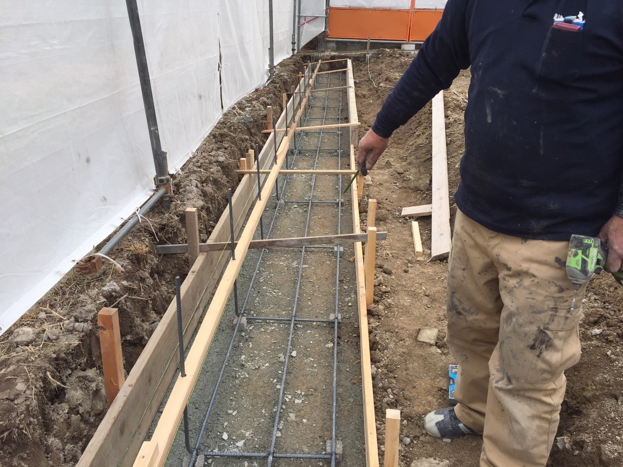 ���� �J�[�|�[�g �G�N�X�e���A �P�H ����